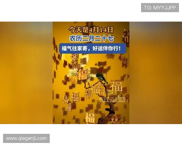 精选2024年最受欢迎的开运网址，让好运伴随你每一天